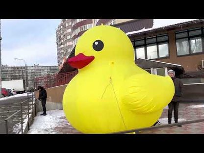 Huge inflatable duck 4m